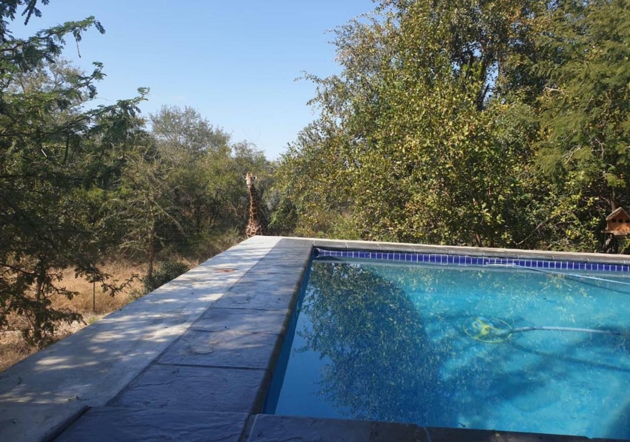 Lionsview Private Lodge - 6 Lions Marloth Park Exterior photo
