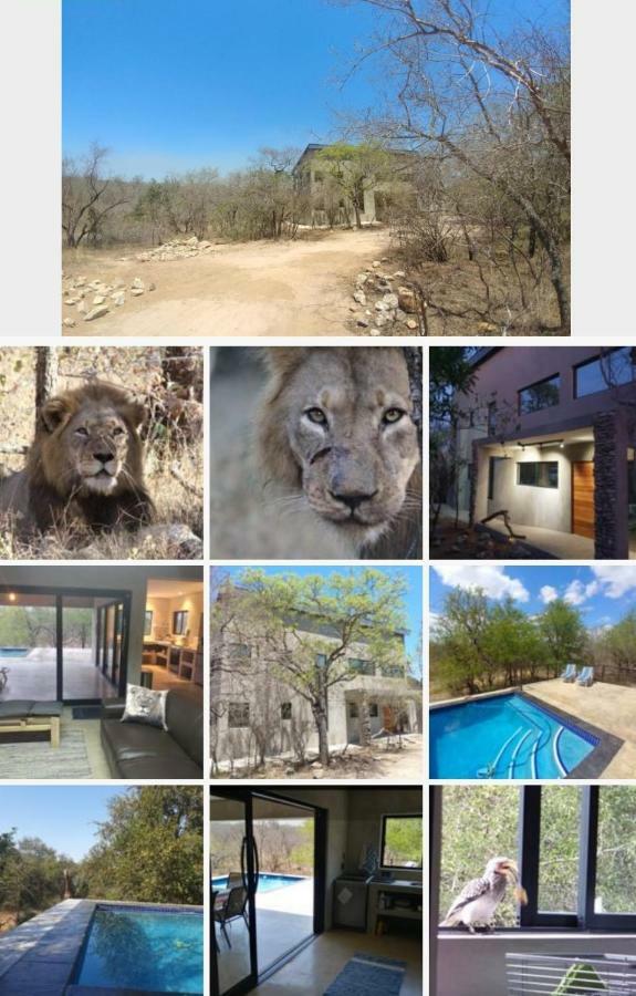 Lionsview Private Lodge - 6 Lions Marloth Park Exterior photo